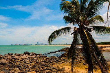 Olinda, Pernambuco, Brezilya: Olinda plaja bakan güzel manzara. Yüzmek burada tehlikelidir. Uzakta, Recife şehir