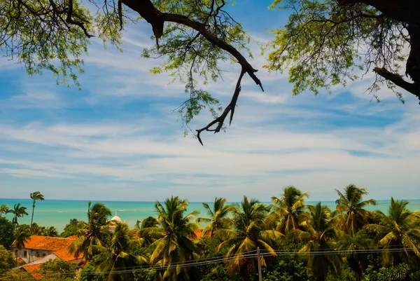 The colonial buildings of the historic Brazilian city of Olinda in Pernambuco, Brazil. — Stock Photo, Image