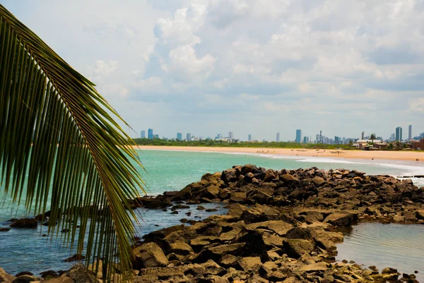 Olinda, Pernambuco, Brezilya: Olinda plaja bakan güzel manzara. Yüzmek burada tehlikelidir. Uzakta, Recife şehir