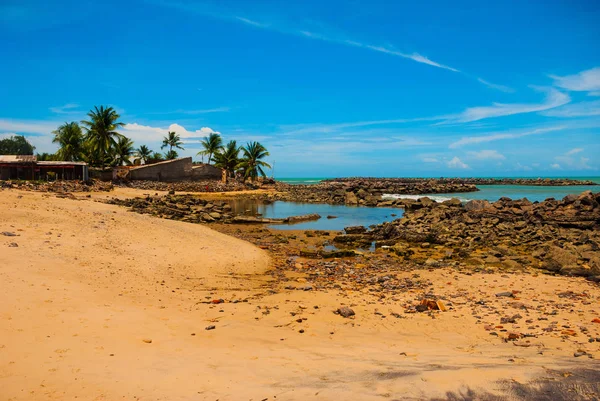 Olinda, Pernambuco, Brésil : Beau paysage surplombant la plage d'Olinda. La natation est dangereuse ici requins nageurs . — Photo