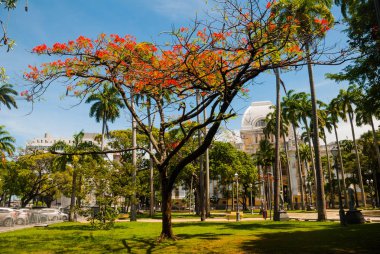 Cumhuriyet Meydanı Görünümü, Recife, Pernambuco, Brezilya