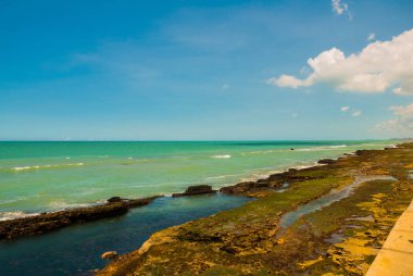 Recife, Pernambuco, Brezilya: Kayaların ve turkuaz denizmanzaralı güzel manzara.