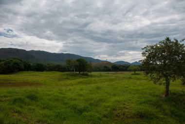 Minas Gerais eyaletinde kahve tarlası güzel görünümü, Sao Joao Del Rei, Brezilya