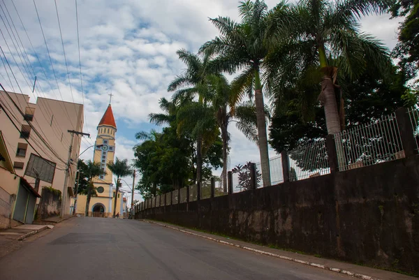 Sao Joao del Rei, Minas Gerais: táj kilátással a pálmafák és a gyönyörű katolikus egyház — Stock Fotó