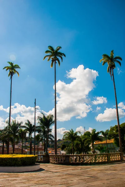 Sao Joao Del Rei, Minas Gerais: Eski şehrin merkezinde palmiye ağaçları ve güzel evlerin manzarasına sahip manzara — Stok fotoğraf