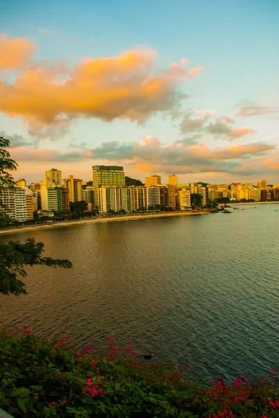 Niteroi, Бразилія: пейзаж з видом на місто з будинками і морем на заході сонця — стокове фото