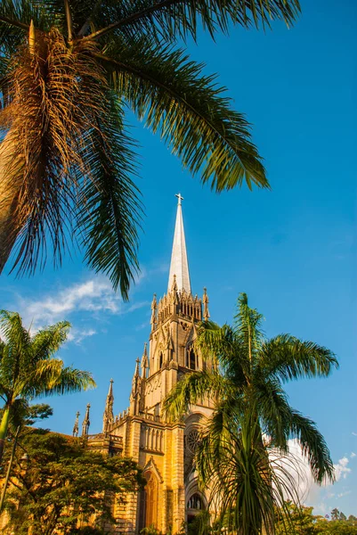 PETROPOLIS, RIO DE JANEIRO, BRAZIL: Cathedral of Petropolis. Church of St Peter. Neogothic. Catholic Cathedral and palm trees on blue sky background — Stock Photo, Image