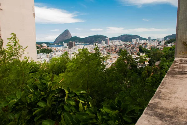 З прекрасного пейзажу відкривається вид на море та гору Цукрова Голова. Пао де Акукар. Ріо-де-Жанейро, Бразилія. — стокове фото