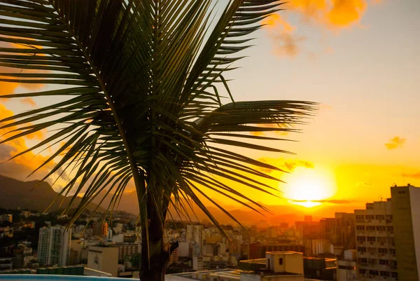 Ріо-де-Жанейро, Бразилія: гарний краєвид з видом на хмарочоси на заході сонця в Ріо-де-Жанейро. — стокове фото