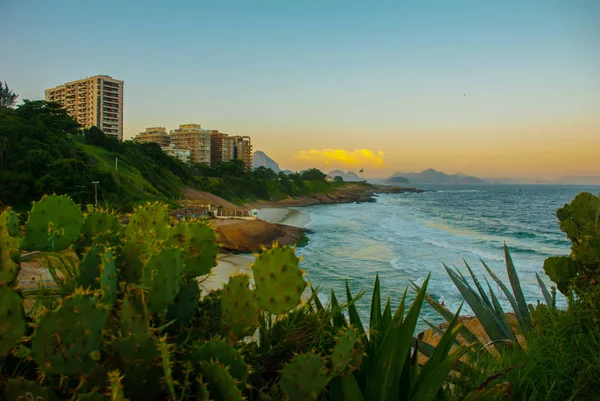Río de Janeiro, Brasil: Cactus y bandera brasileña en la playa al atardecer. Ipanema, playa de Copacabana — Foto de Stock