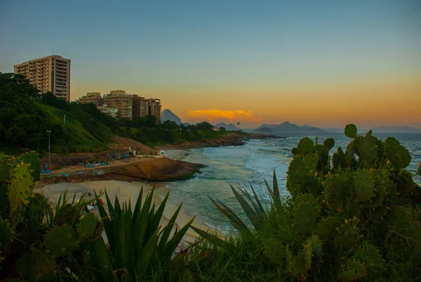 Río de Janeiro, Brasil: Cactus y bandera brasileña en la playa al atardecer. Ipanema, playa de Copacabana — Foto de Stock