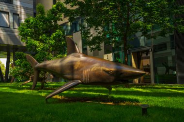 Bratislava, Slovakya: Üç finansal köpekbalıkları ve şehir parkı. Bir balık heykeli bir köpekbalığı alışılmadık bir anıt.