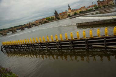 Prag, Çek Cumhuriyeti: Kampa Park, Prag'da Cracking Art Group tarafından Penguenler enstalasyon.