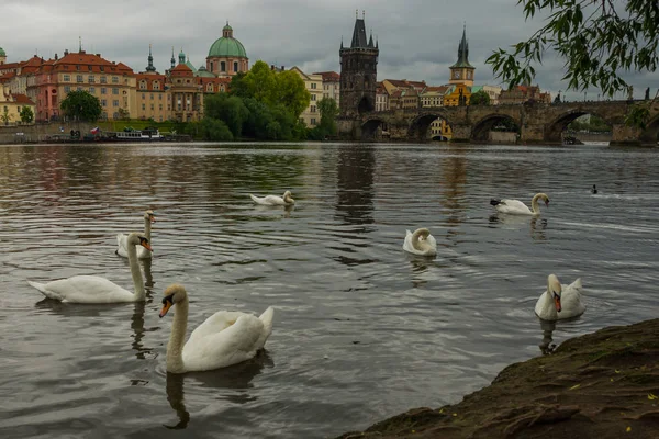 Praga, República Checa: Karluv Most. El famoso hermoso y antiguo puente de Carlos, un lugar popular para los turistas . —  Fotos de Stock