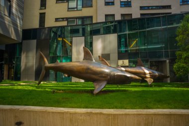 Bratislava, Slovakya: Üç finansal köpekbalıkları ve şehir parkı. Bir balık heykeli bir köpekbalığı alışılmadık bir anıt.