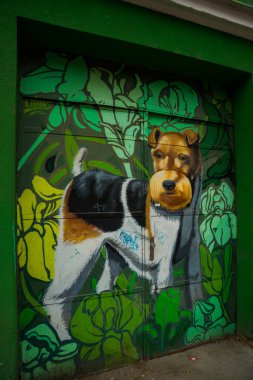 Bratislava, Slovakya. Grafiti. Binanın cephesinde güzel modern desen