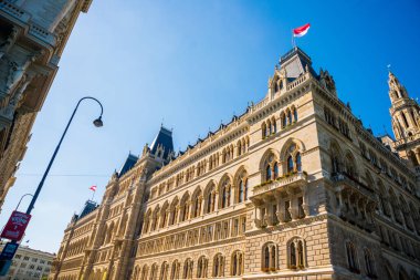 Viyana Belediye Binası Önünde Buz Pateni - Viyana, Avusturya