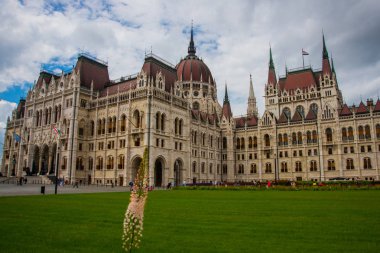 Budapeşte, Macaristan: Budapeşte Parlamento binası yakınında yeşil çim üzerinde güzel çiçekli kırmızı haşhaş ve çiçekler