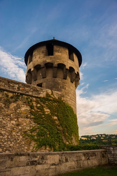 The medieval Mace Tower, Buzoganytorony is located along the southern wall of Buda Castle, the historic Royal Palace in Budapest, Hungary — стоковое фото