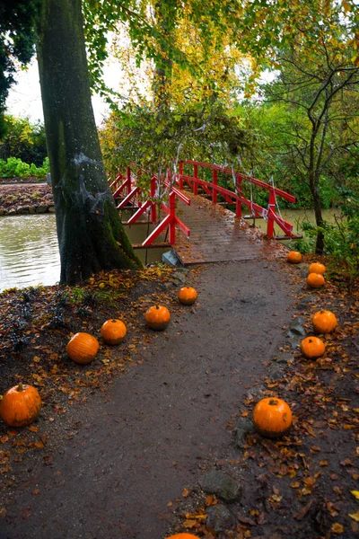 Pumpkin in autumn forest on Halloween holiday. Red wooden bridge.
