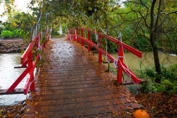 Pumpkin in autumn forest on Halloween holiday. Red wooden bridge.