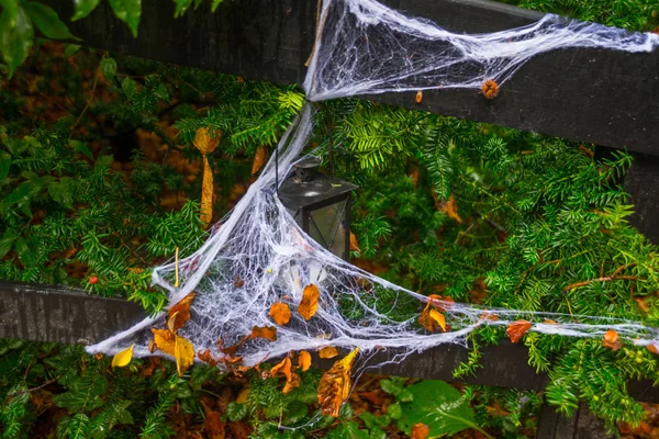 할로윈 연휴에는 가을 숲에 있는 나무 다리 위에 있는 흰 거미 그물 과 랜턴. — 스톡 사진