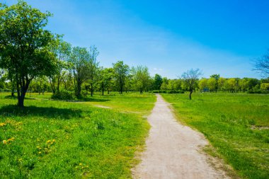 Rusya, Saint Petersburg: Park 'taki güzel yaz manzarası