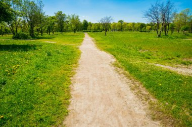 Rusya, Saint Petersburg: Park 'taki güzel yaz manzarası