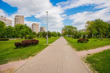 Rusya, Saint Petersburg: Park 'taki güzel yaz manzarası