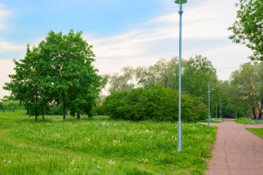 Rusya, Saint Petersburg: Park 'taki güzel yaz manzarası