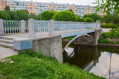 Rusya, Saint Petersburg: Park 'taki güzel yaz manzarası
