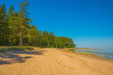 Finlandiya Körfezi manzaralı bir peyzaj. Saint Petersburg, Rusya.