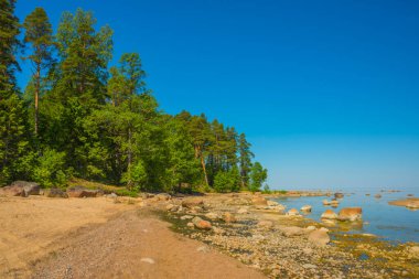 Finlandiya Körfezi manzaralı bir peyzaj. Saint Petersburg, Rusya.