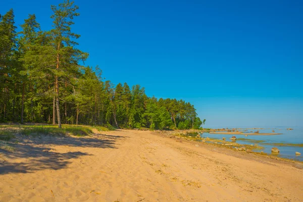 Landschap Met Uitzicht Finse Golf Sint Petersburg Rusland — Stockfoto