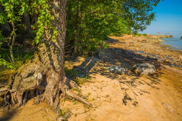 Landscape View Gulf Finland Saint Petersburg Russia — Stock Photo, Image