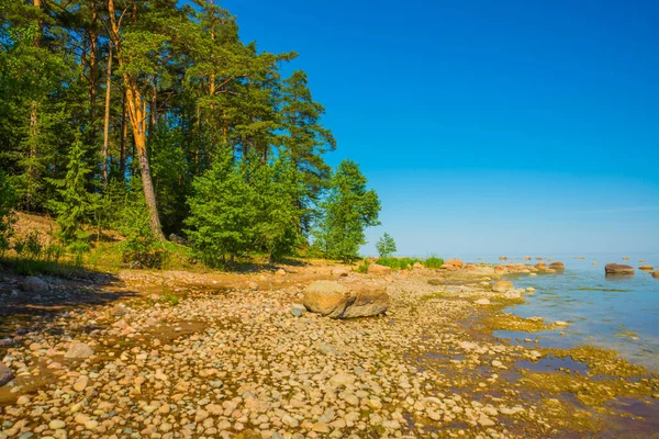 从芬兰湾看风景 俄罗斯圣彼得堡 — 图库照片