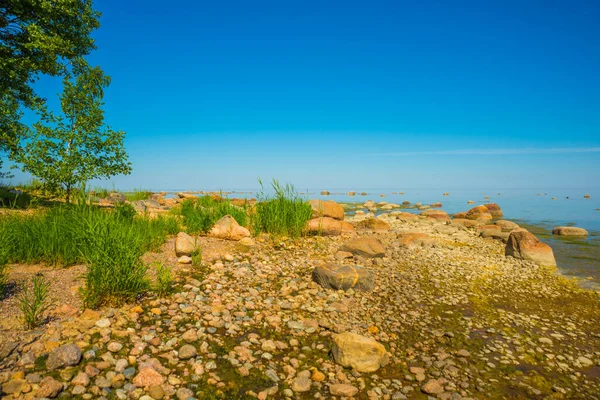 Krajobraz Widokiem Zatokę Fińską Petersburg Rosja — Zdjęcie stockowe