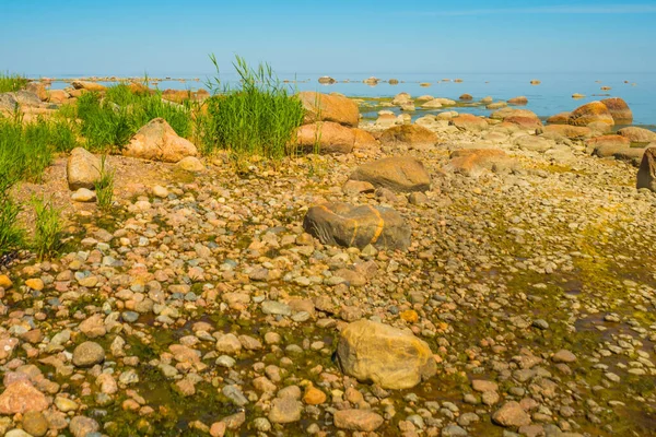 Пейзаж Видом Фінську Затоку Санкт Петербург Росія — стокове фото