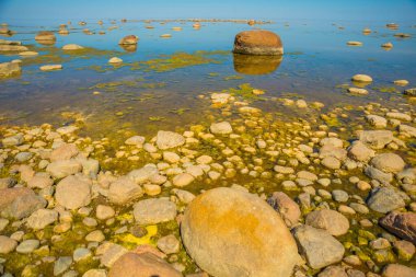 Finlandiya Körfezi sahilinde kocaman güzel taşlar var. Saint Petersburg, Rusya.