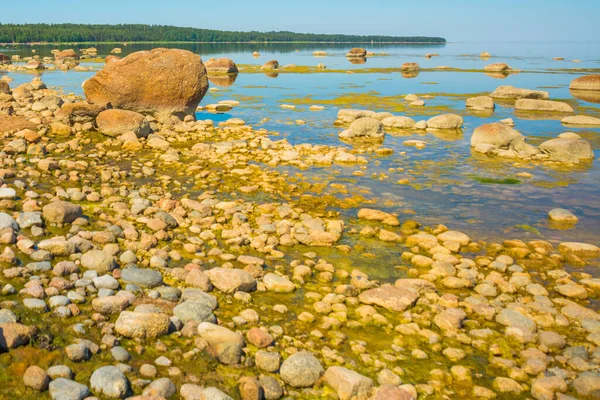 Landscape View Gulf Finland Saint Petersburg Russia — Stock Photo, Image