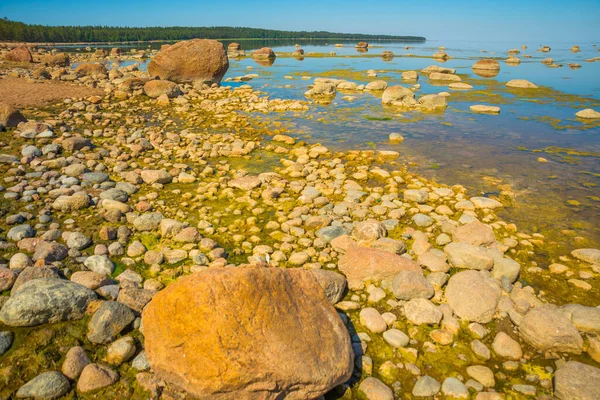 从芬兰湾看风景 俄罗斯圣彼得堡 — 图库照片