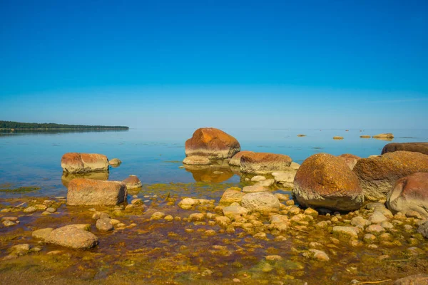 芬兰湾海滩上的巨大美丽的石头 俄罗斯圣彼得堡 — 图库照片