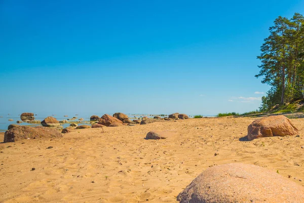 Énormes Belles Pierres Sur Plage Golfe Finlande Saint Pétersbourg Russie — Photo