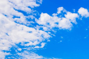 Yeşil yapraklı bir park ve yazın beyaz bulutlu mavi bir gökyüzü. Saint Petersburg, Rusya.