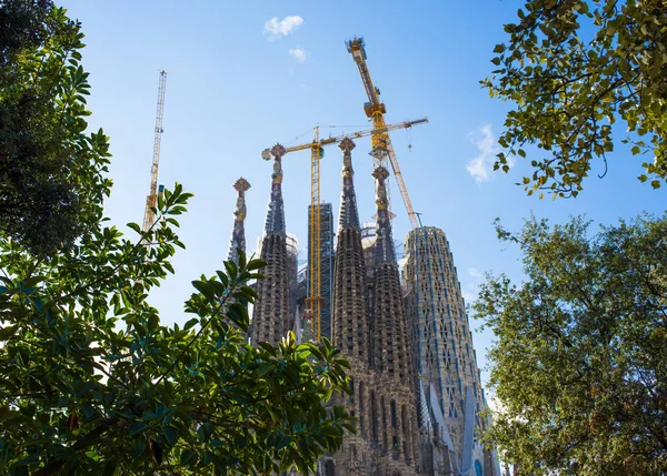 Sagrada Familia Barselona İspanya