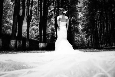 Muhteşem gelinliği olan güzel gelin