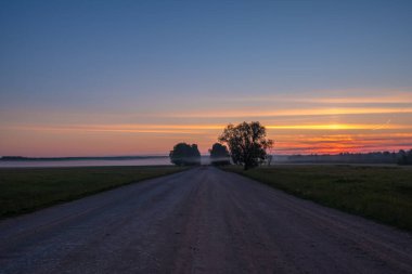 Ormanın derinliklerindeki toprak yol. Gün batımı.