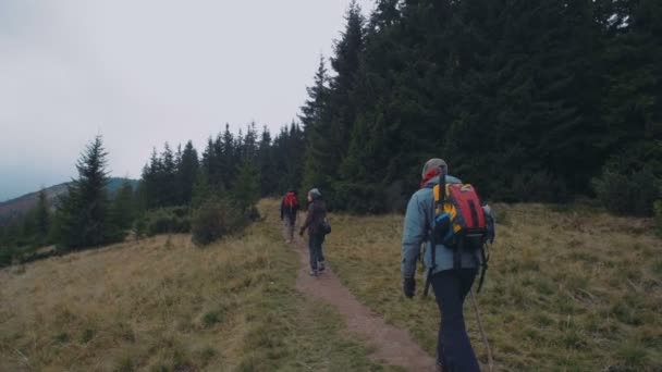 友人の山でハイキングのグループ — ストック動画