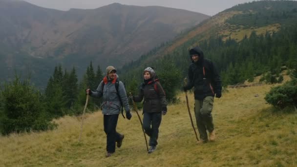 Grupo Amigos Caminhadas Nas Montanhas — Vídeo de Stock