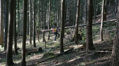 adam sırt çantası ile ormanda hiking